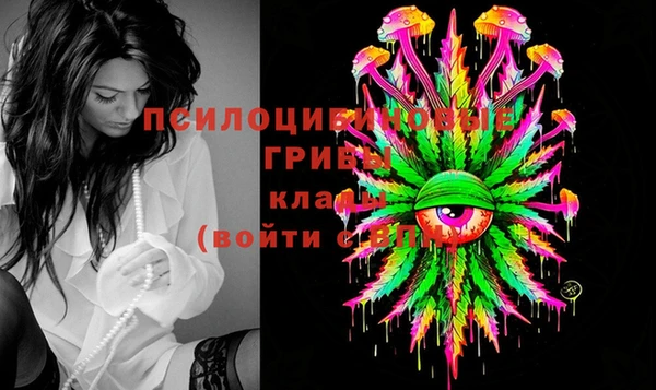 мяу мяу мука Сосновка
