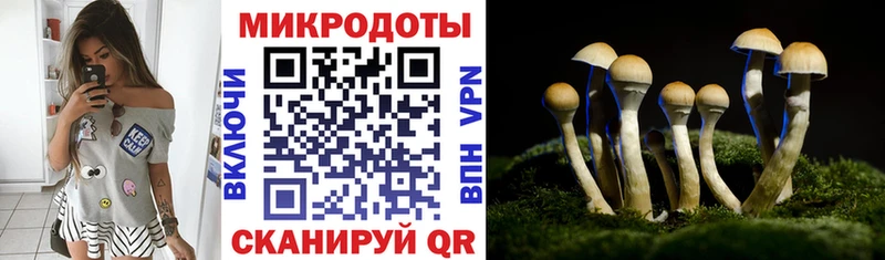 Псилоцибиновые грибы прущие грибы  блэк спрут зеркало  Суровикино  даркнет сайт 
